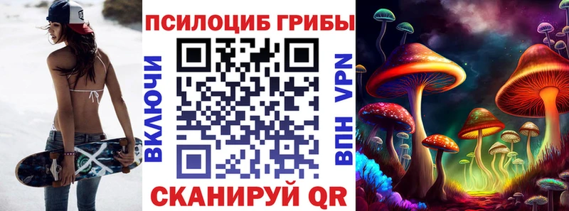 мориарти как зайти  Вязники  Псилоцибиновые грибы Psilocybe 